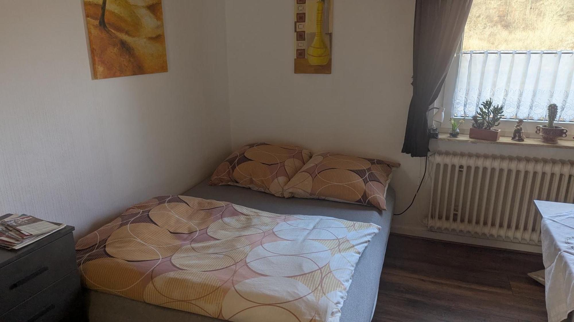 Ferienwohnung Mit Terrasse Fuer 1-4 Personen آلتنا المظهر الخارجي الصورة