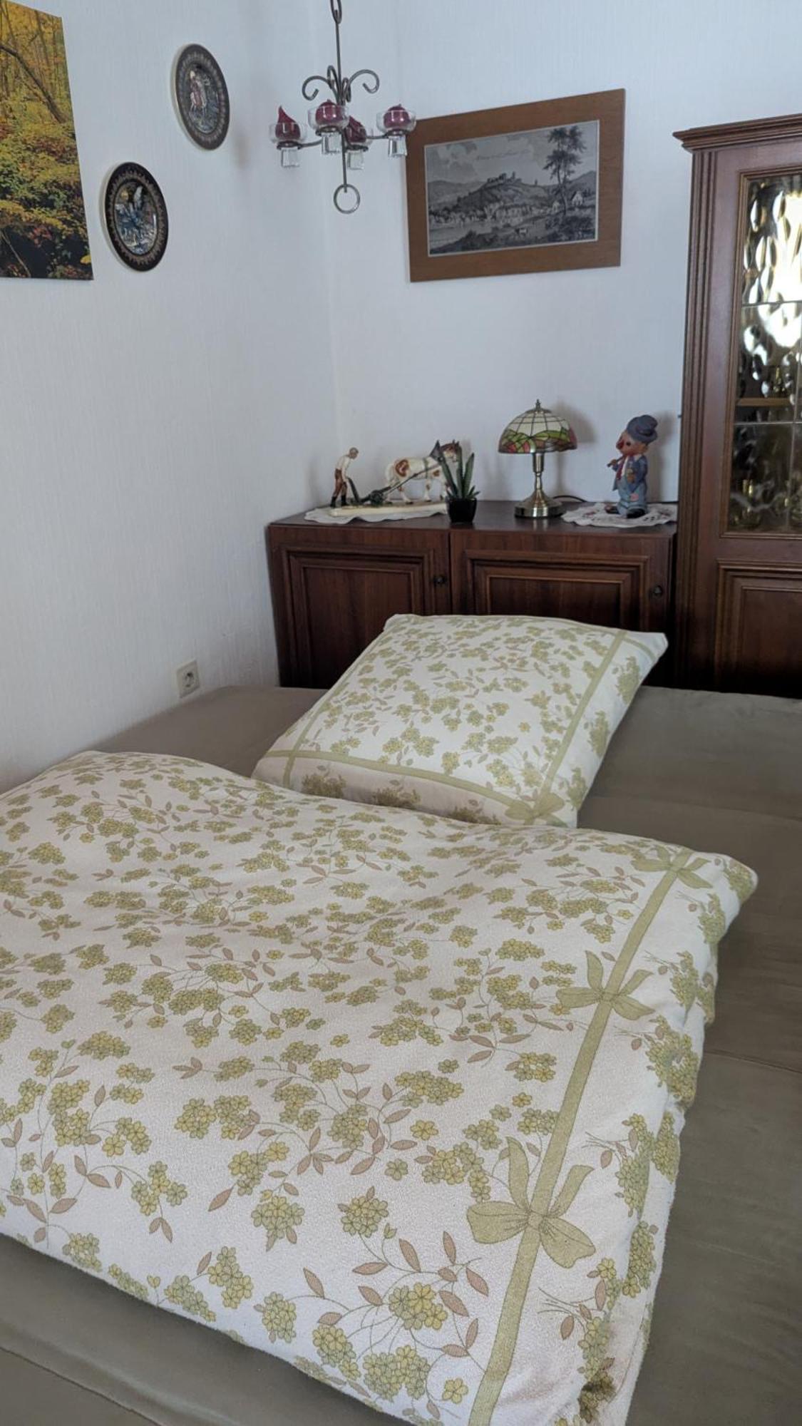 Ferienwohnung Mit Terrasse Fuer 1-4 Personen آلتنا المظهر الخارجي الصورة